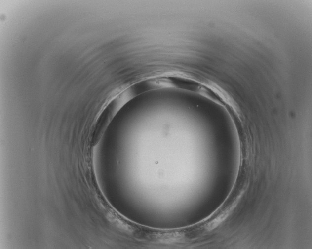 X0000073701001200608101809