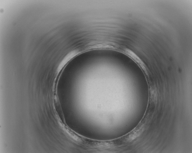 X0000073701002200608101809