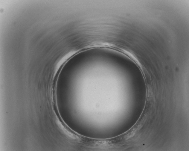 X0000073701003200608101809