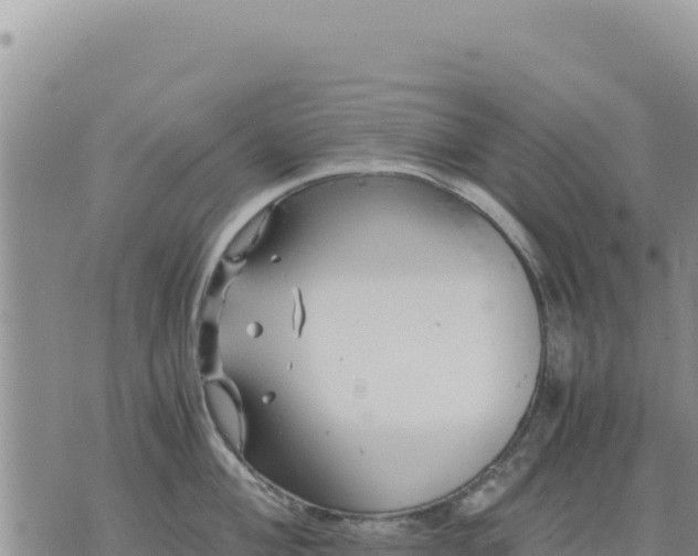 X0000073701004200608101809