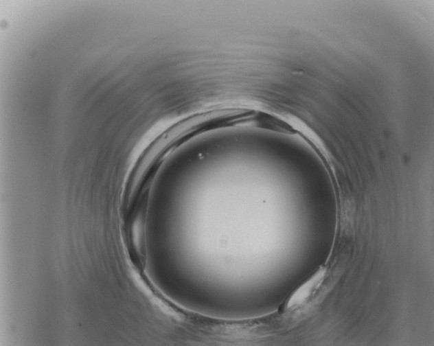 X0000073701005200608101809