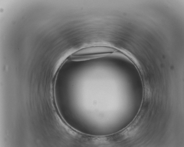 X0000073701006200608101809