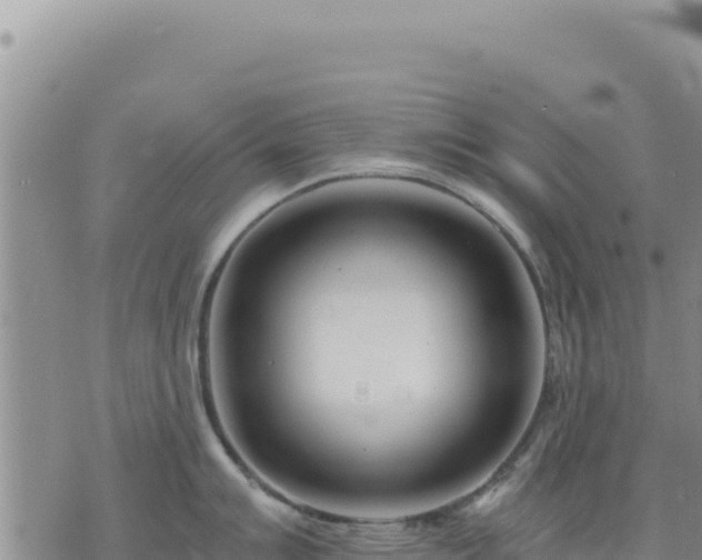 X0000073701007200608101809