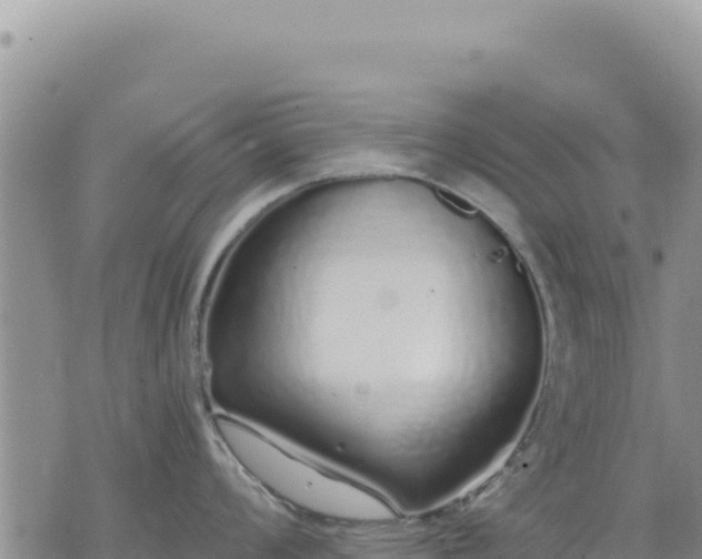 X0000073701008200608101809