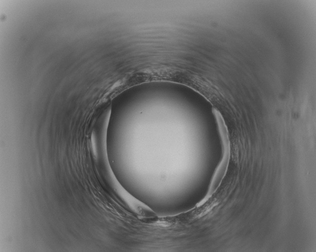 X0000073701010200608101808