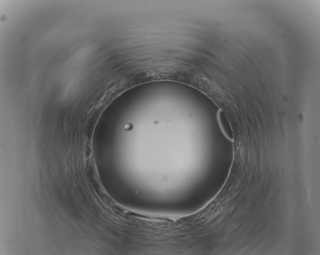 X0000073701012200608101808