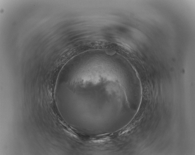 X0000073701013200608101808