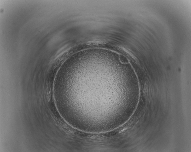 X0000073701015200608101808