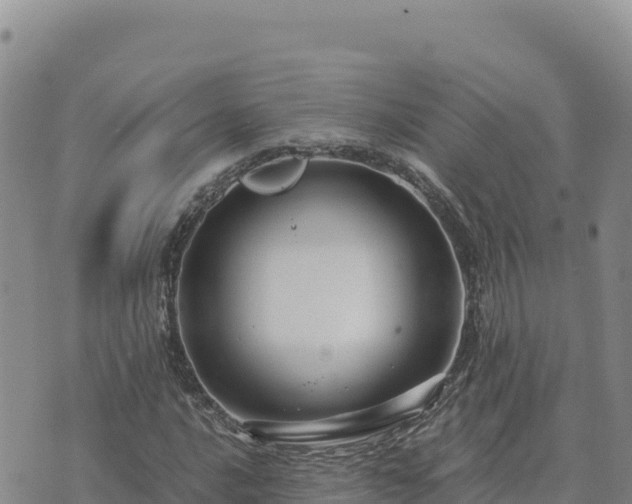 X0000073701016200608101808