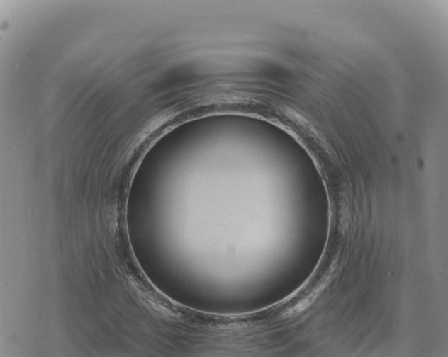 X0000073701017200608101808