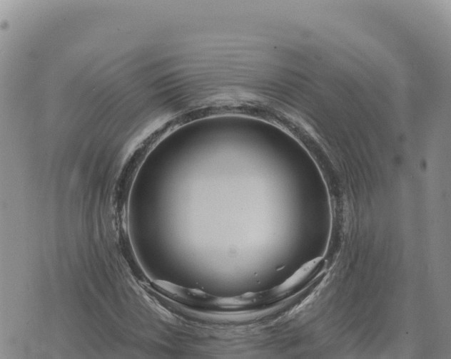 X0000073701018200608101808