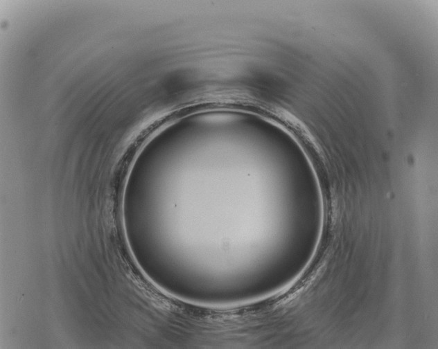 X0000073701019200608101808