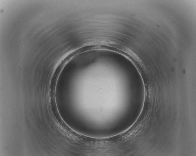 X0000073701020200608101808