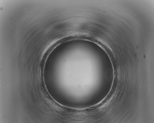 X0000073701021200608101808