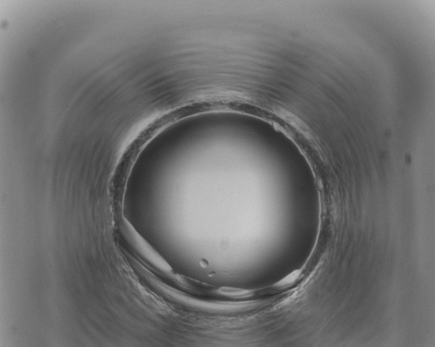 X0000073701022200608101808