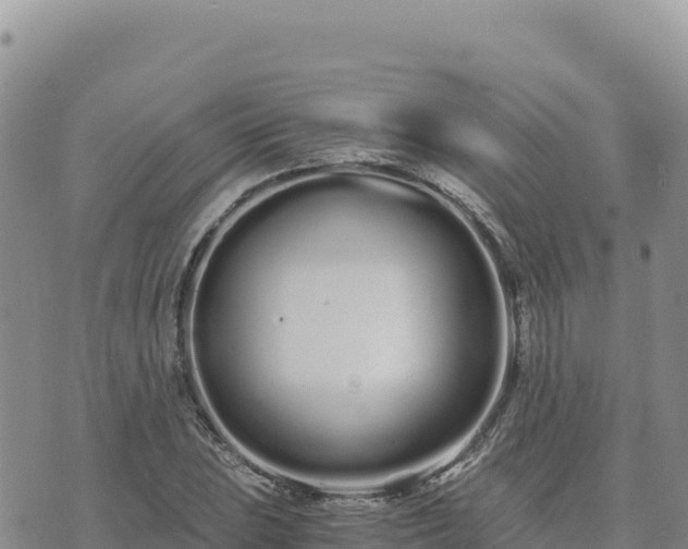 X0000073701023200608101808