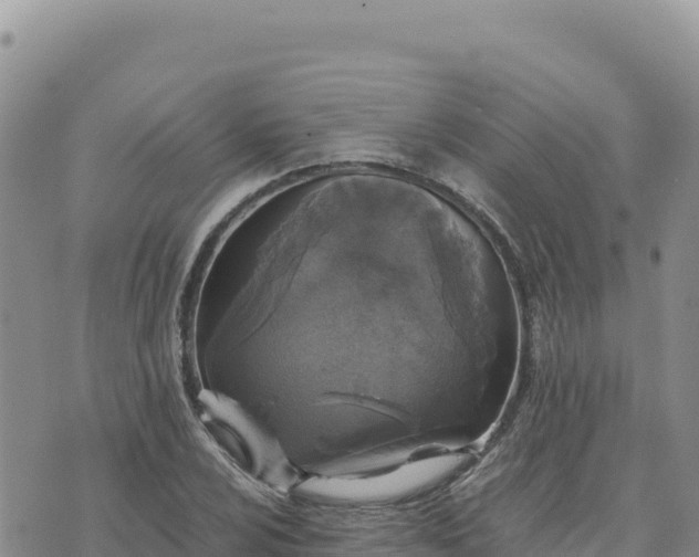 X0000073701024200608101808