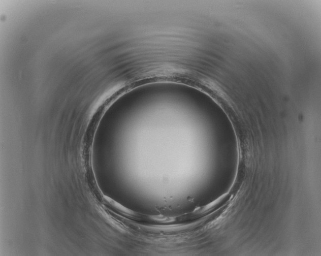 X0000073701026200608101808