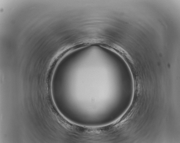 X0000073701027200608101808