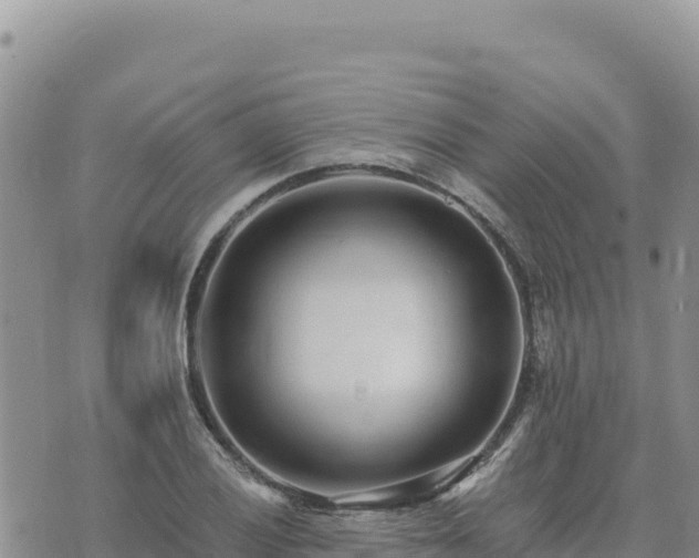 X0000073701028200608101808