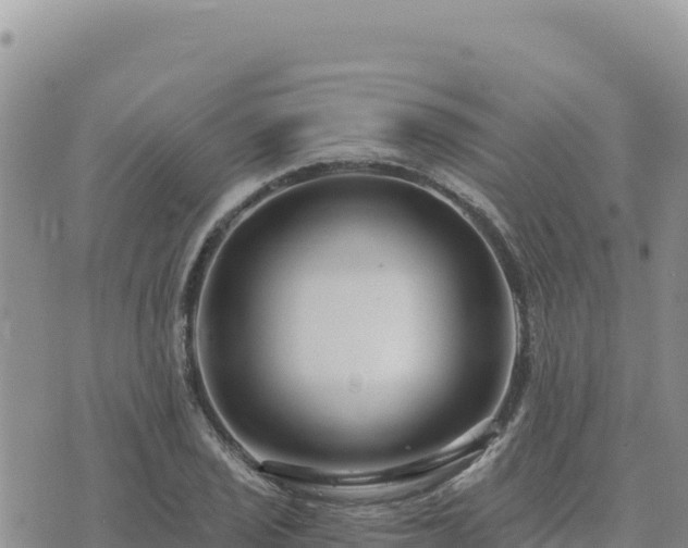 X0000073701029200608101808