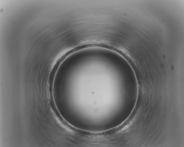 X0000073701030200608101808