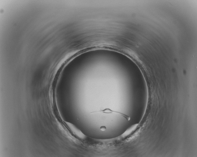 X0000073701032200608101808