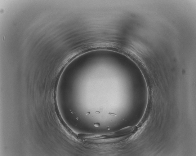 X0000073701033200608101808