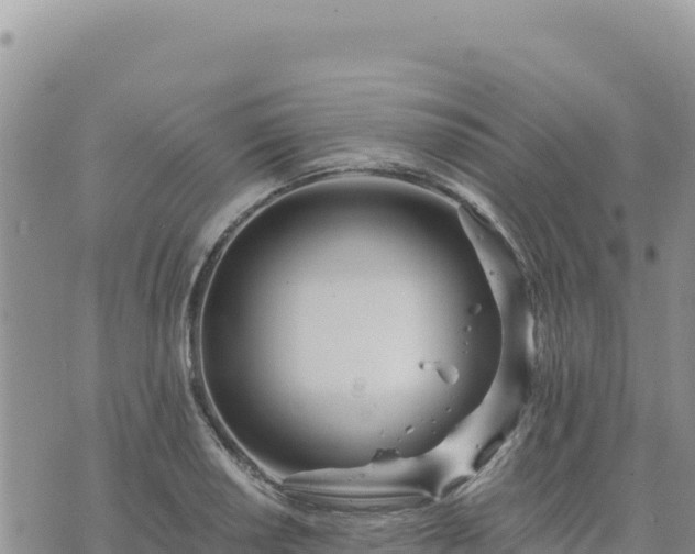 X0000073701034200608101808