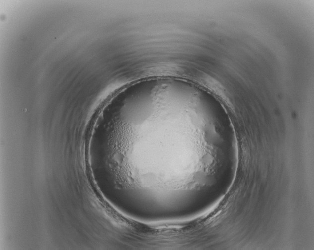 X0000073701035200608101808