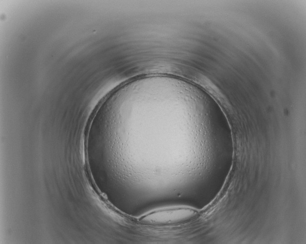 X0000073701036200608101808