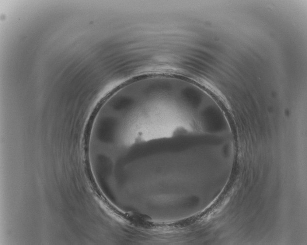 X0000073701037200608101808