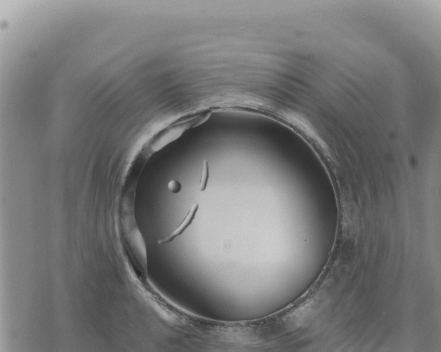 X0000073701040200608101808