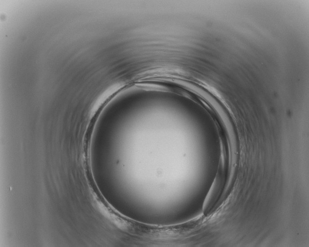 X0000073701042200608101808