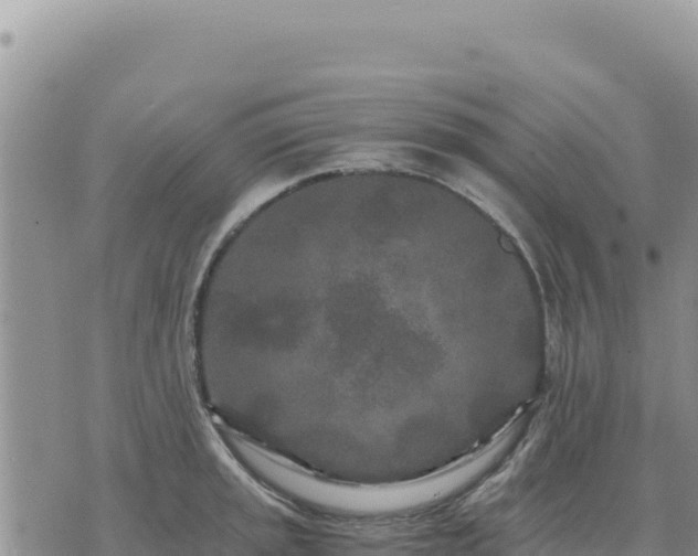 X0000073701045200608101808