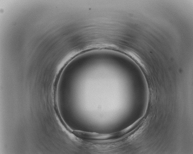 X0000073701046200608101808