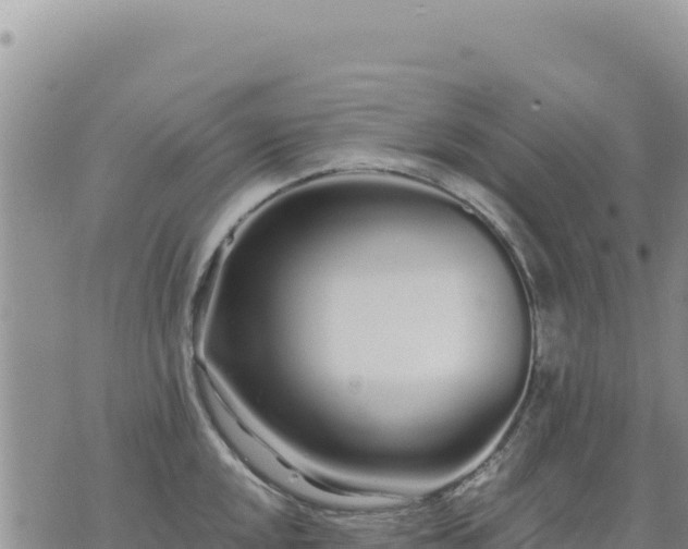 X0000073701048200608101808