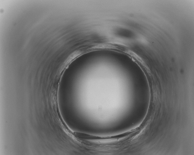 X0000073701049200608101808