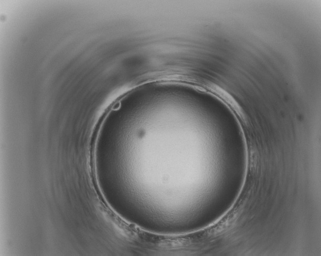 X0000073701051200608101808