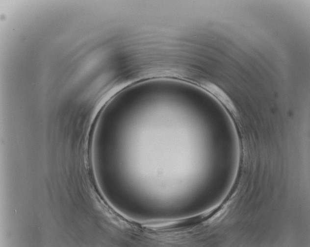 X0000073701052200608101808