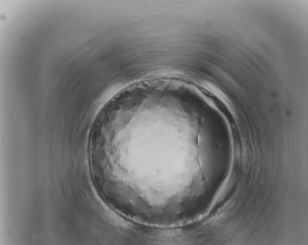 X0000073701055200608101808