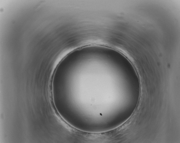 X0000073701056200608101809