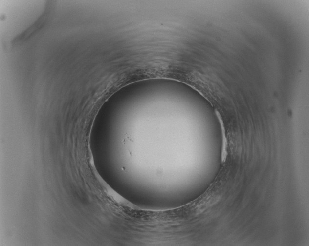 X0000073701057200608101808