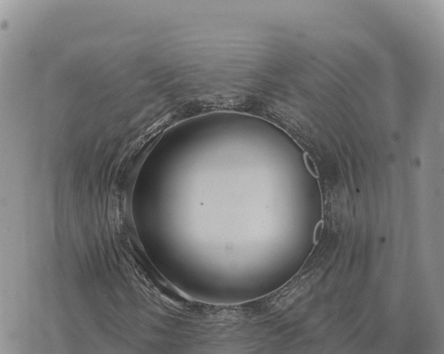 X0000073701058200608101808