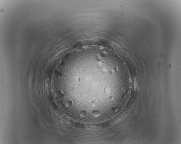 X0000073701059200608101808