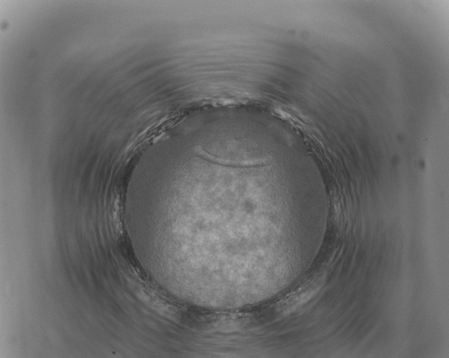 X0000073701060200608101808