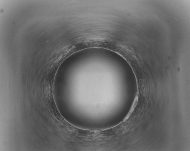 X0000073701061200608101808