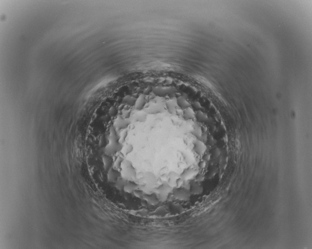 X0000073701063200608101808