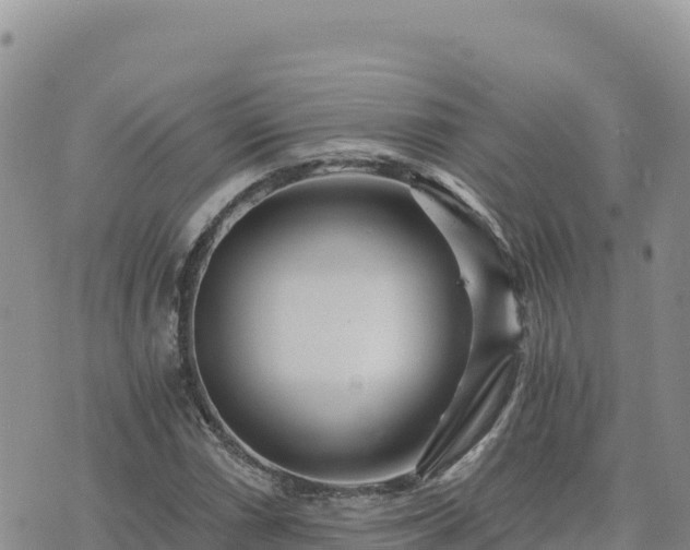 X0000073701066200608101808