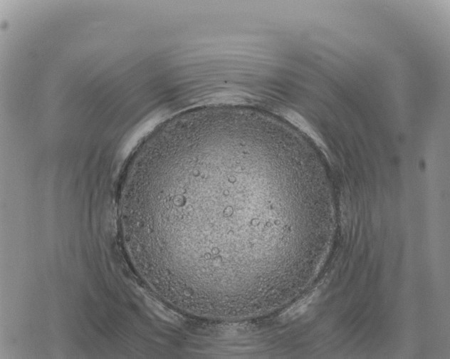 X0000073701067200608101808